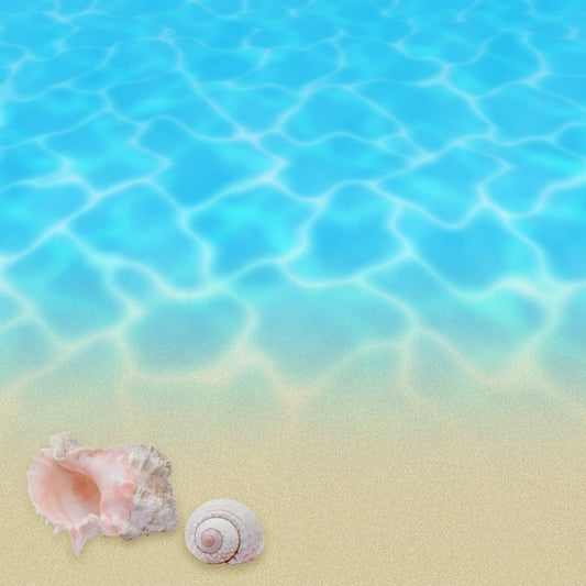 Seashell beach