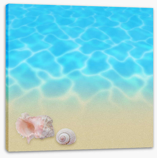 Seashell beach