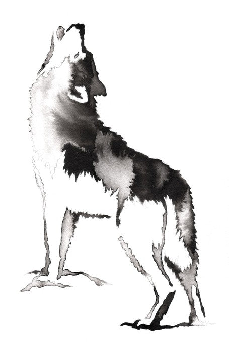Crying wolf