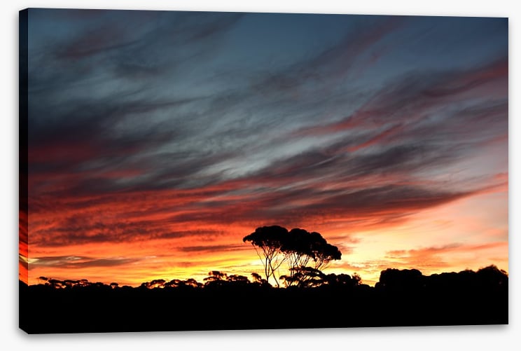 Sunset over the Australian bush