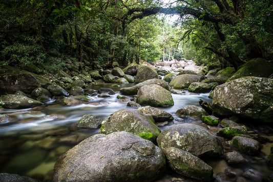 Deep in Mossman Gorge