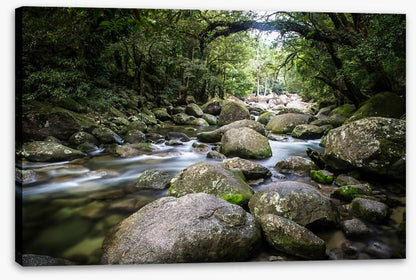 Deep in Mossman Gorge