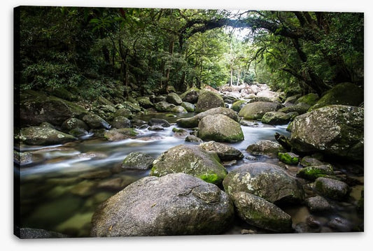 Deep in Mossman Gorge
