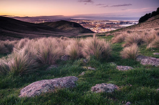 Down to Christchurch