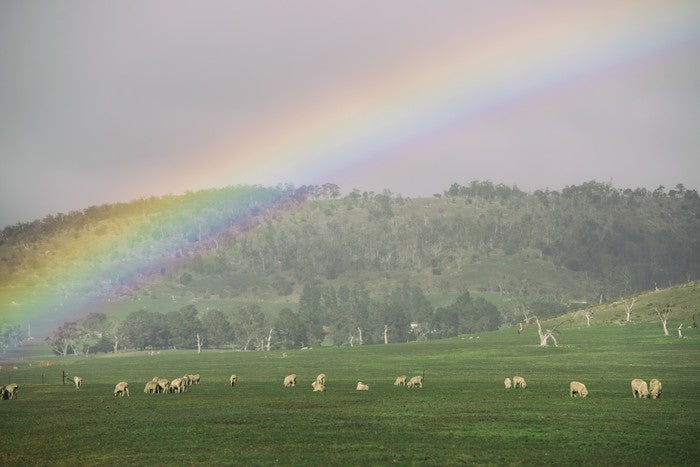 Tasmania