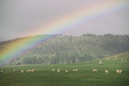 Tasmania