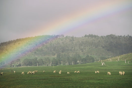 Tasmania