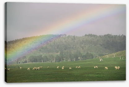 Tasmania