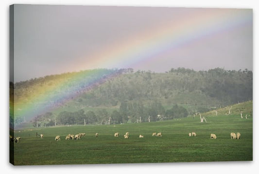 Tasmania