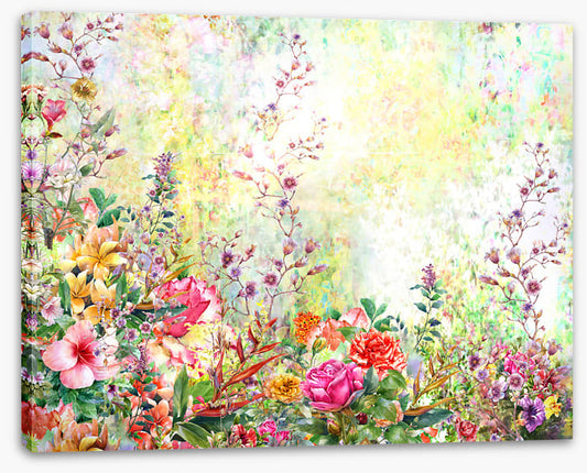 Spring in the garden