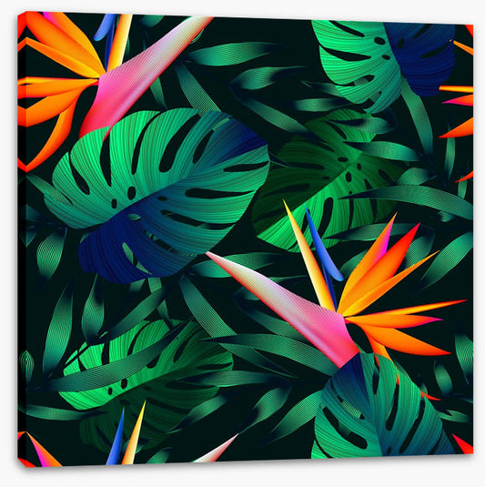 Blooming birds