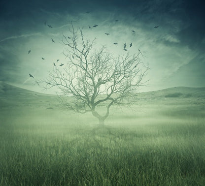 Alone with the birds