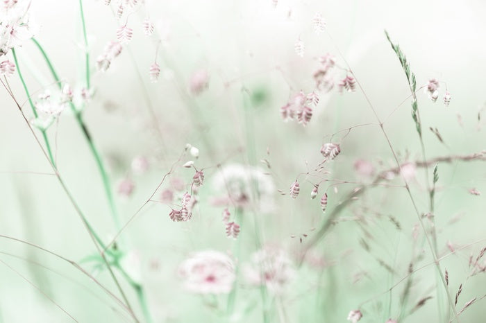 As sweet as spring
