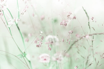 As sweet as spring