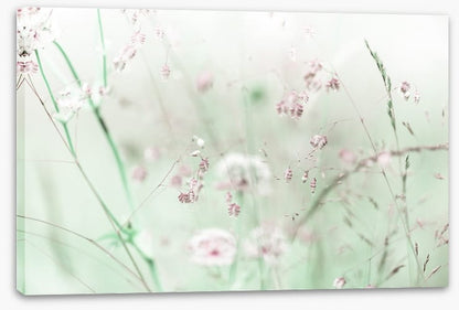 As sweet as spring