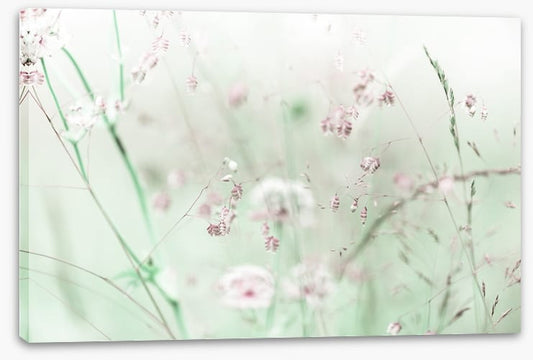 As sweet as spring