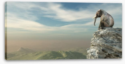 On the edge