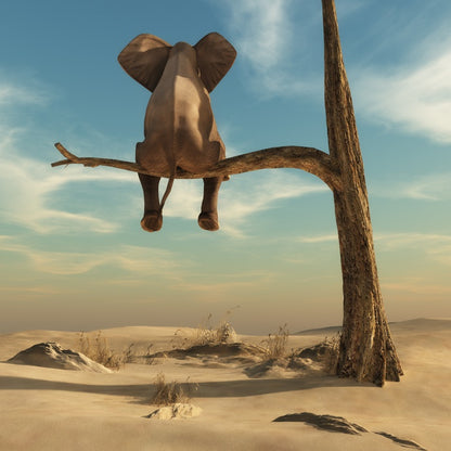 Waiting in the desert