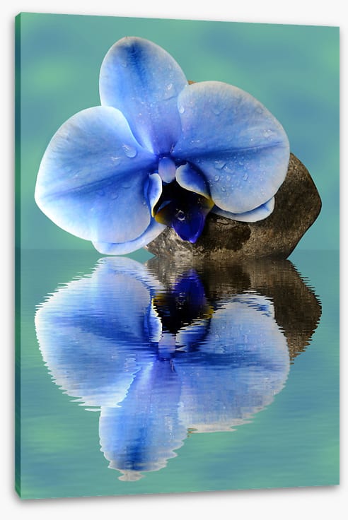 Time to reflect 2