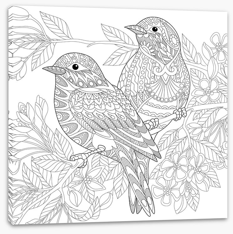 Colour me birds