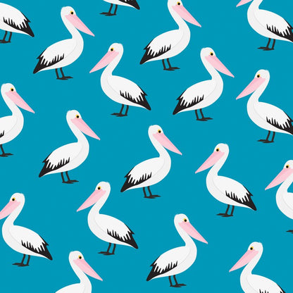 Pelican waters