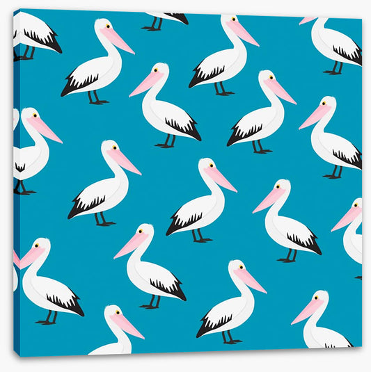 Pelican waters