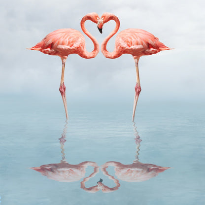 Lovebirds
