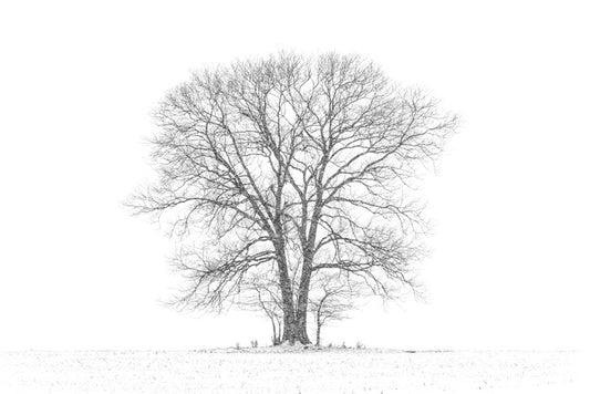 Standing alone