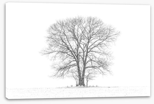 Standing alone