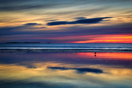Sunset beach reflections