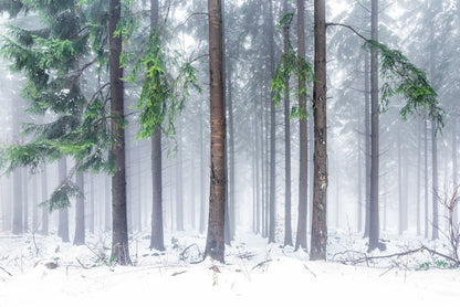 Snowfall greens