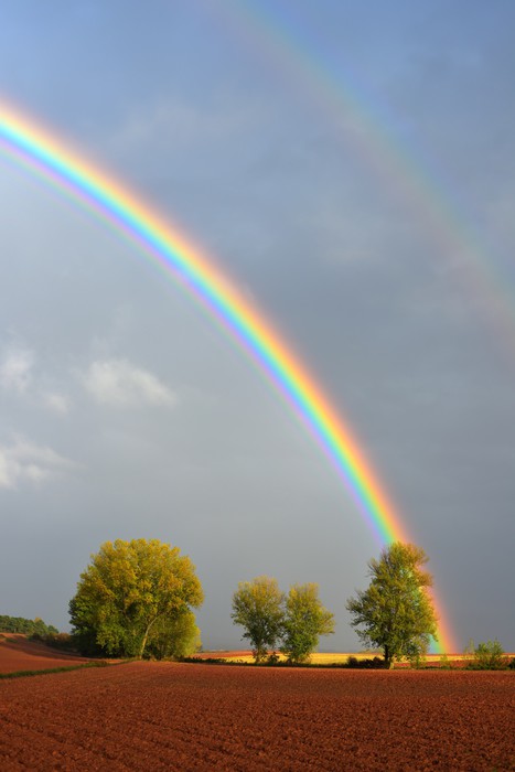 Rainbows