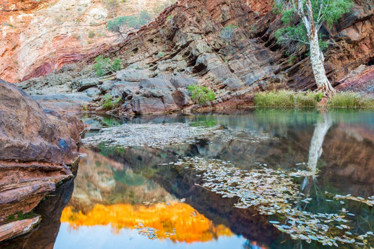 Hamersley Gorge, Karijini