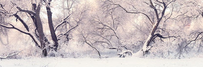 Soft snow branches