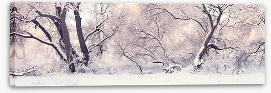 Soft snow branches