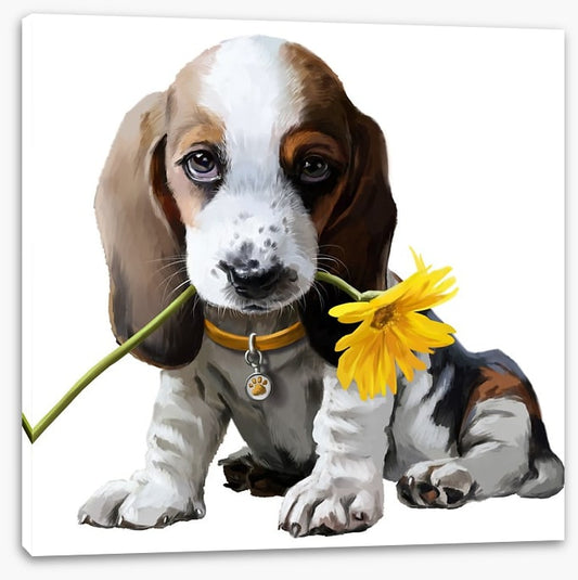 Beagle bouquet