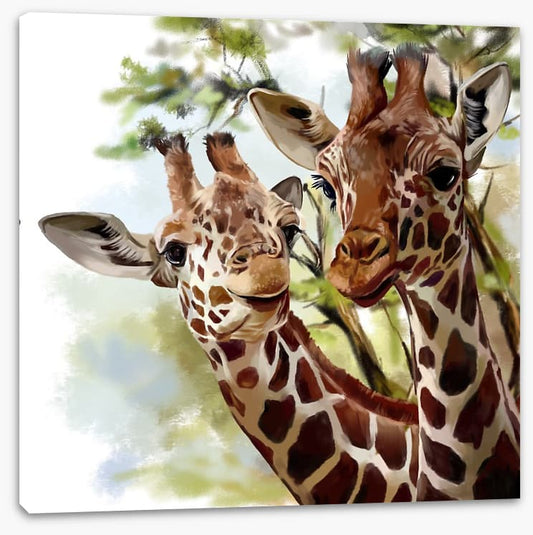 Giraffe and calf