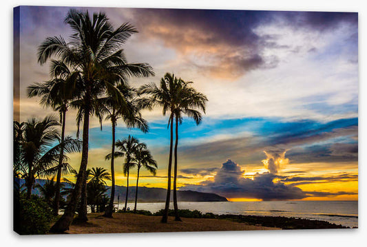 Aloha sunset