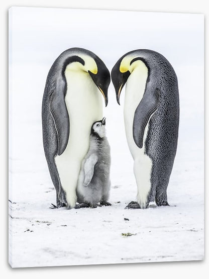 Parental love
