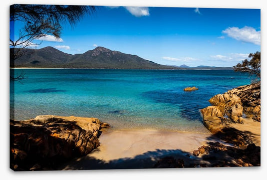 Tasman sea shore
