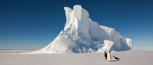 Glaciers