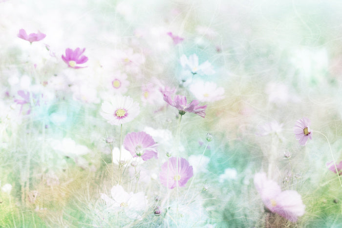 Hazy days of spring