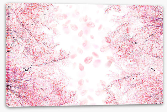 Blossom in the breeze