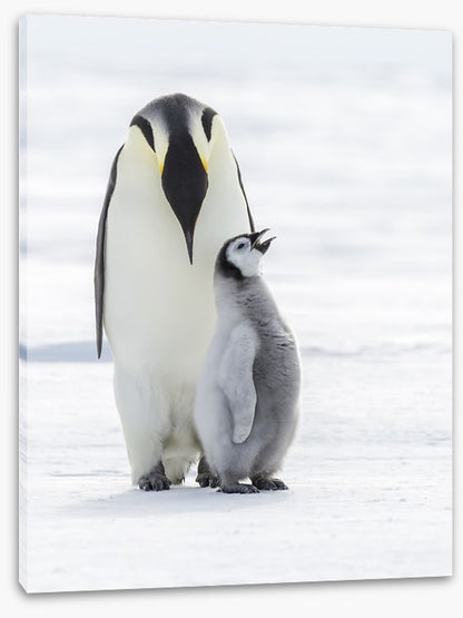Sing for your supper