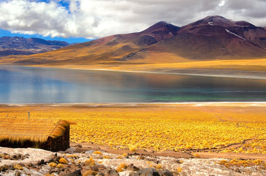 South America