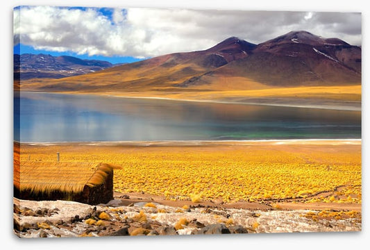 South America