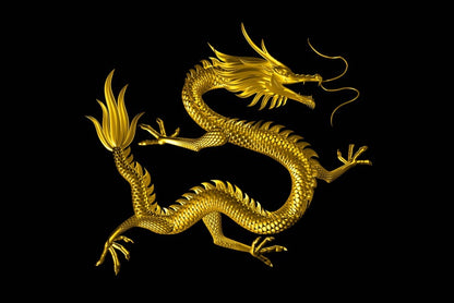 Dragons