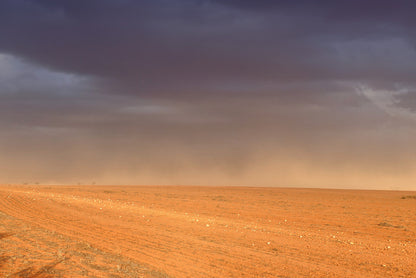 Outback