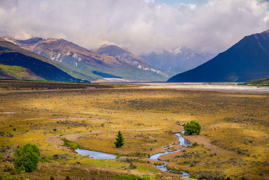 New Zealand