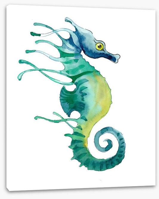 Seahorse blues